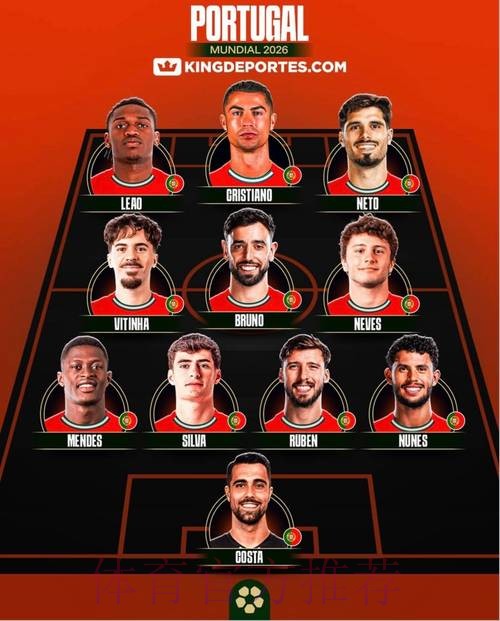 2026世界杯阵容分析哪里看