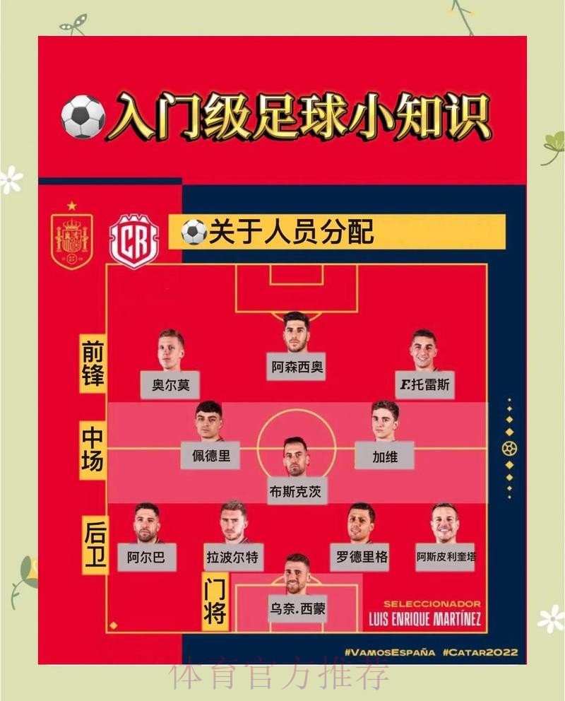 全面解析世界杯外围技巧全站攻略